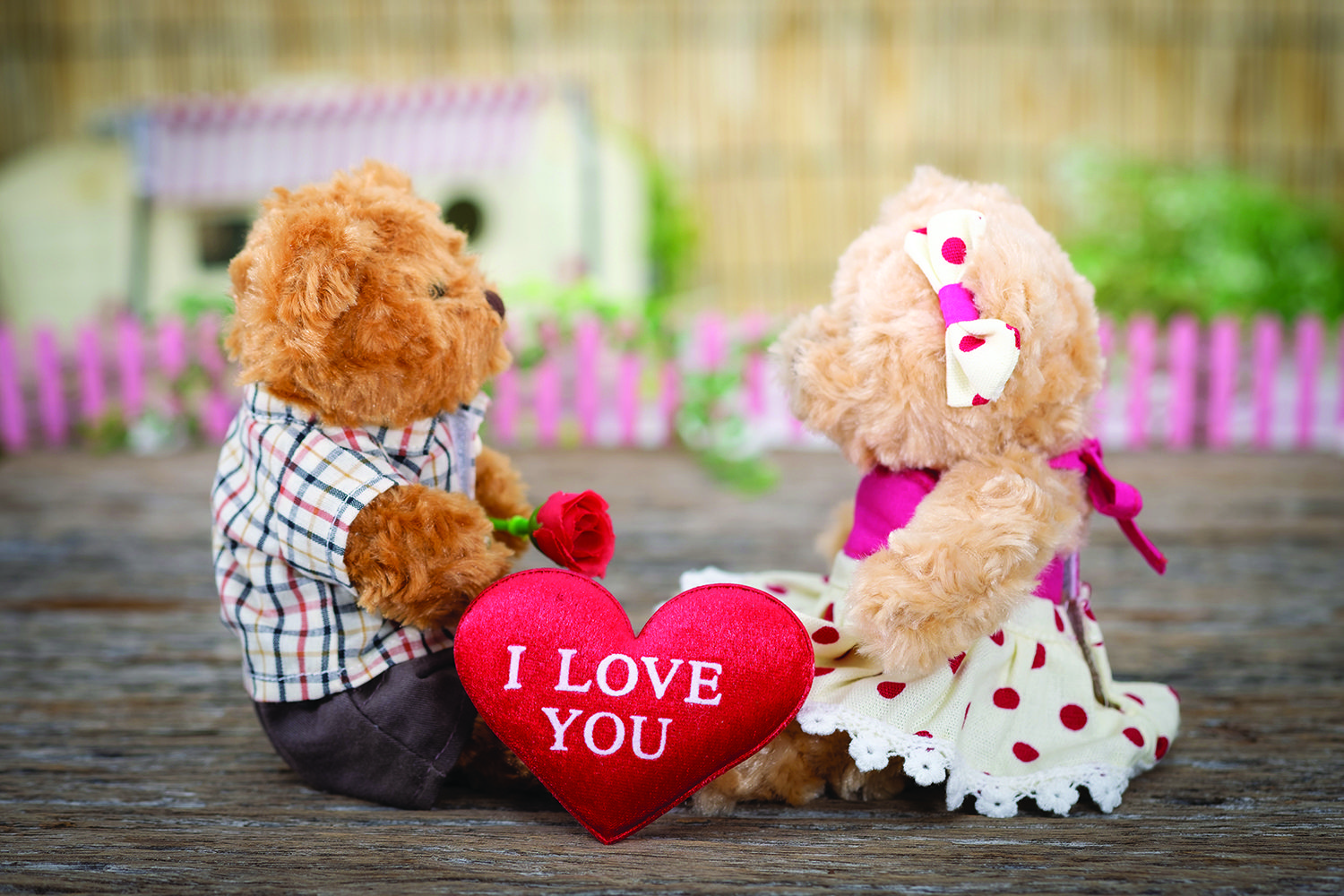 Stumped on Valentine's Day ideas? Check out our top picks – On the ...