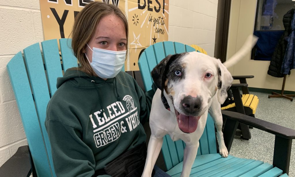 Language of love: WAHS grad, Unityville teen team up to teach sign language to deaf dog