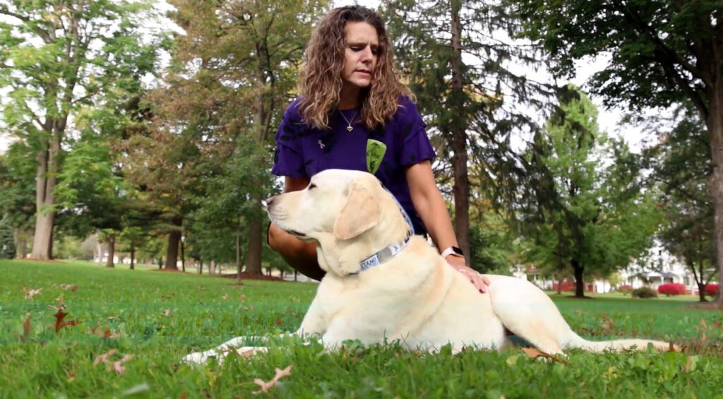 'He's a part of me': Facility dog's cancer diagnosis is a heavy blow