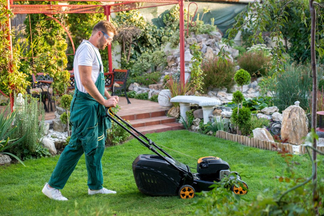 Professional on sale lawn maintenance