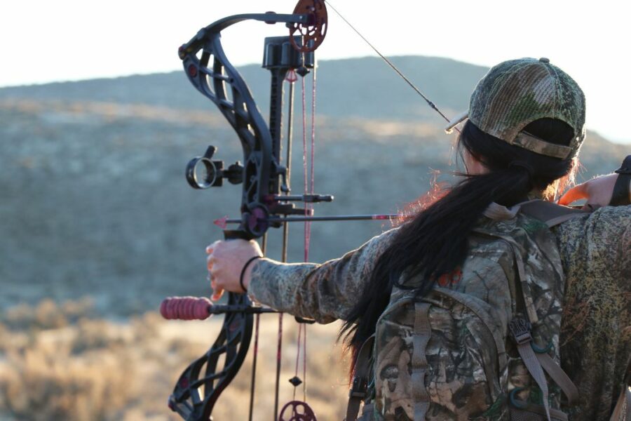 Activities for Bow Hunters during the OffSeason On the PULSE