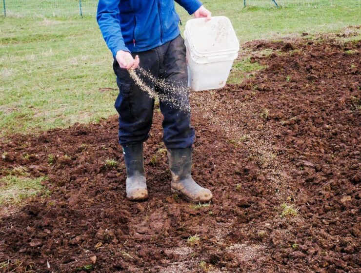 A person stands in freshly tilled soil with boots on as they throw seeds into the soil. They're holding a white bucket.