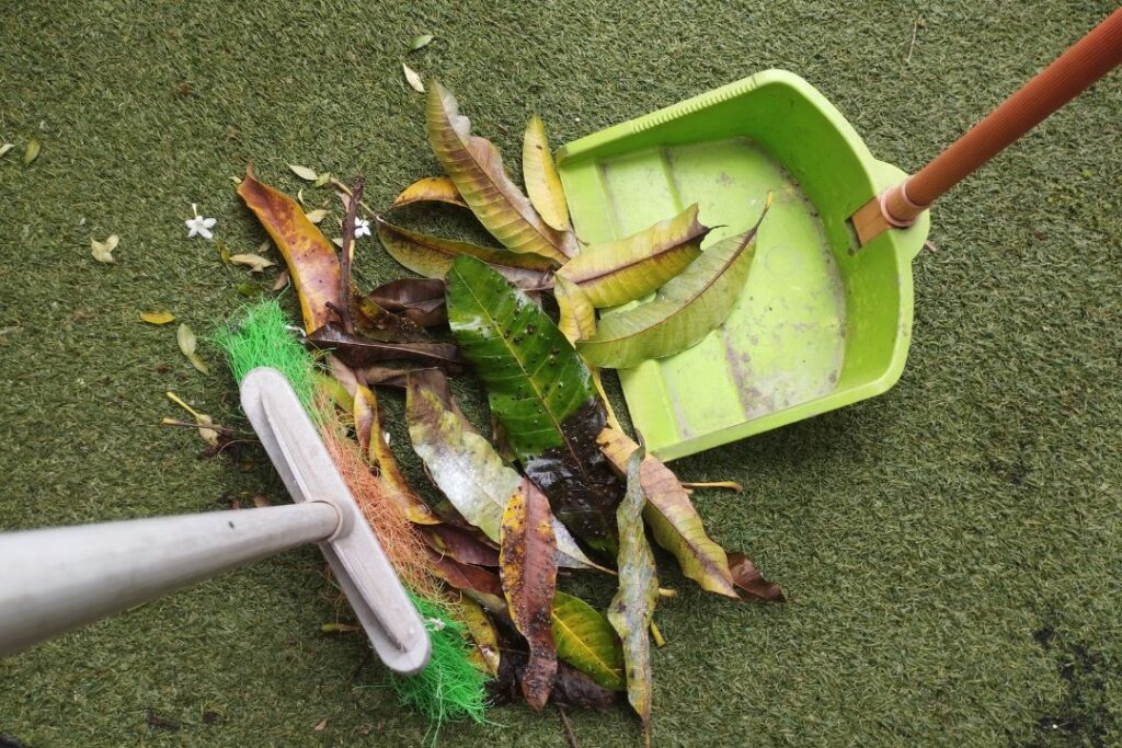 A close-up of a broom and extending pan sweeping up fallen leaves on a green, grassy background.