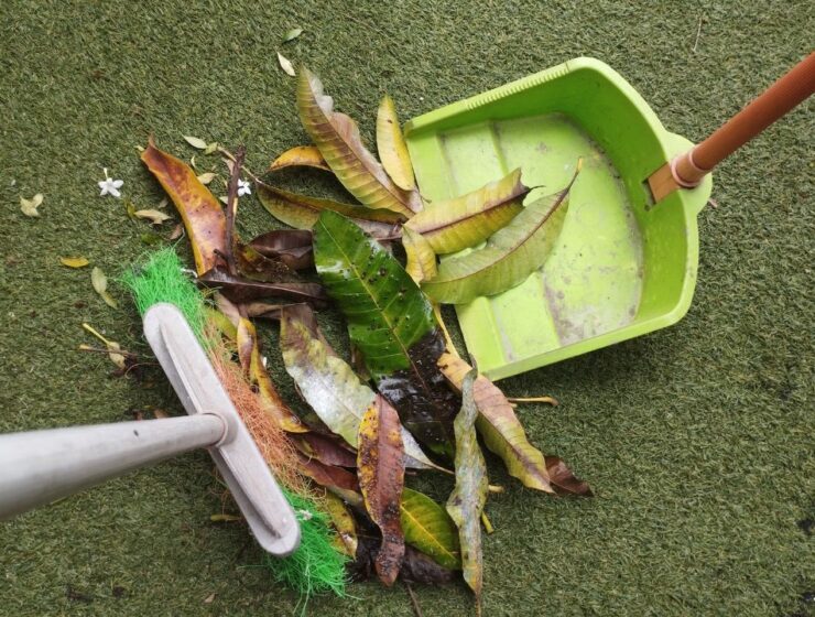 A close-up of a broom and extending pan sweeping up fallen leaves on a green, grassy background.