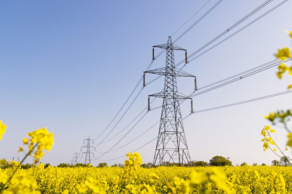 A row of electrical transmission towers with wires. There is a field of yellow flowers below the towers.