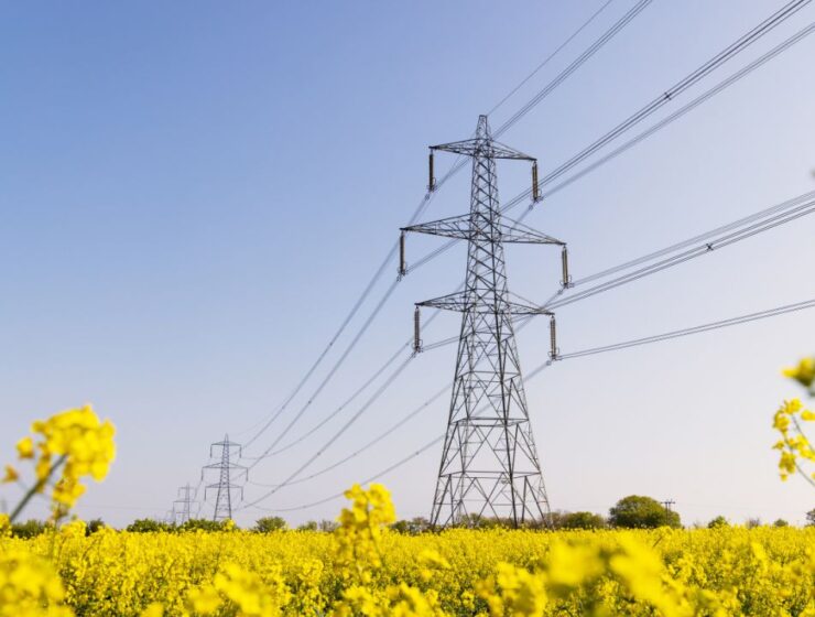 A row of electrical transmission towers with wires. There is a field of yellow flowers below the towers.